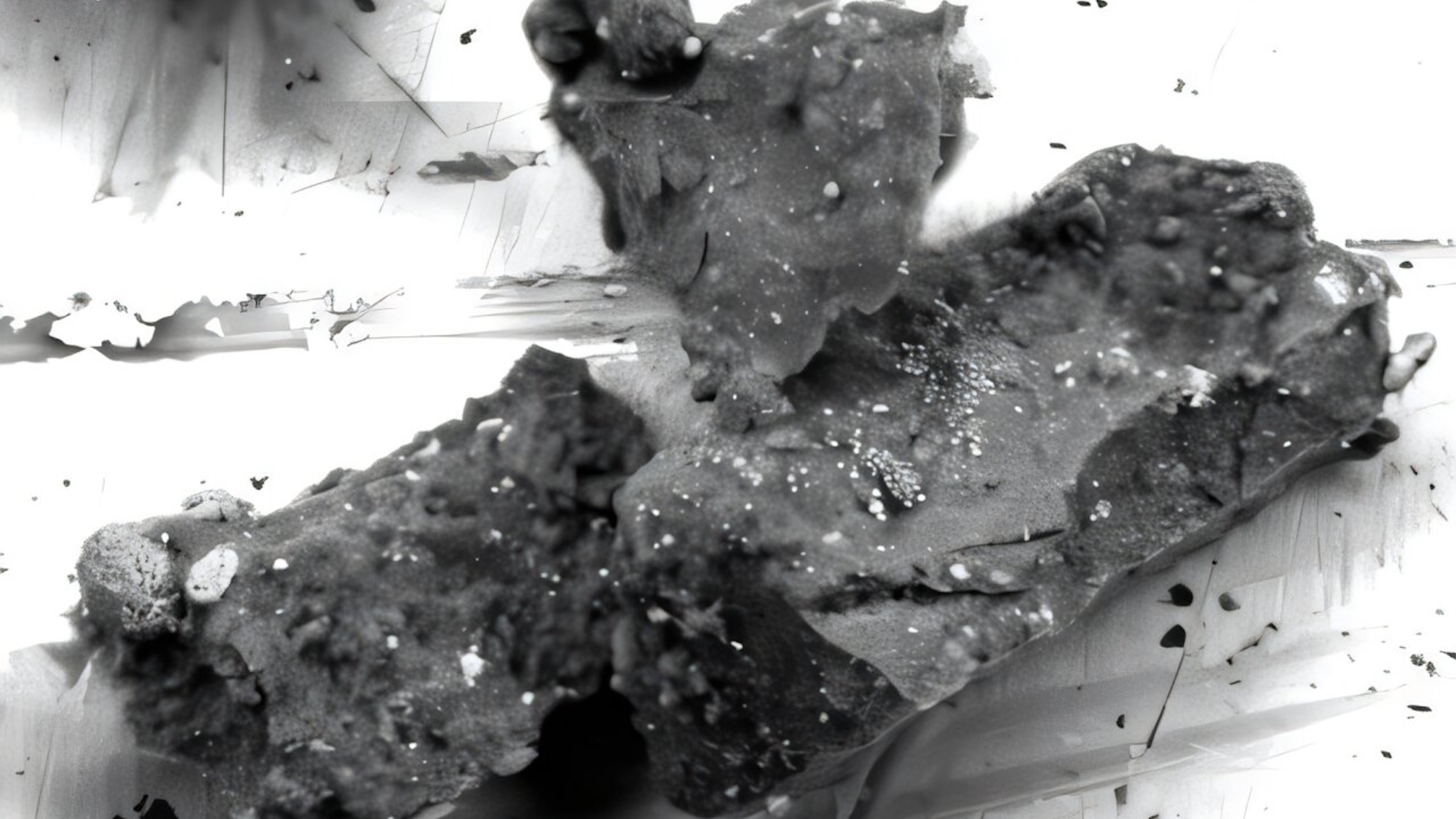 Planetary experts compared it to discovering a tropical seed in Arctic ice. The recent discovery of an asteroid sample from deep space has revealed an unexpected ingredient