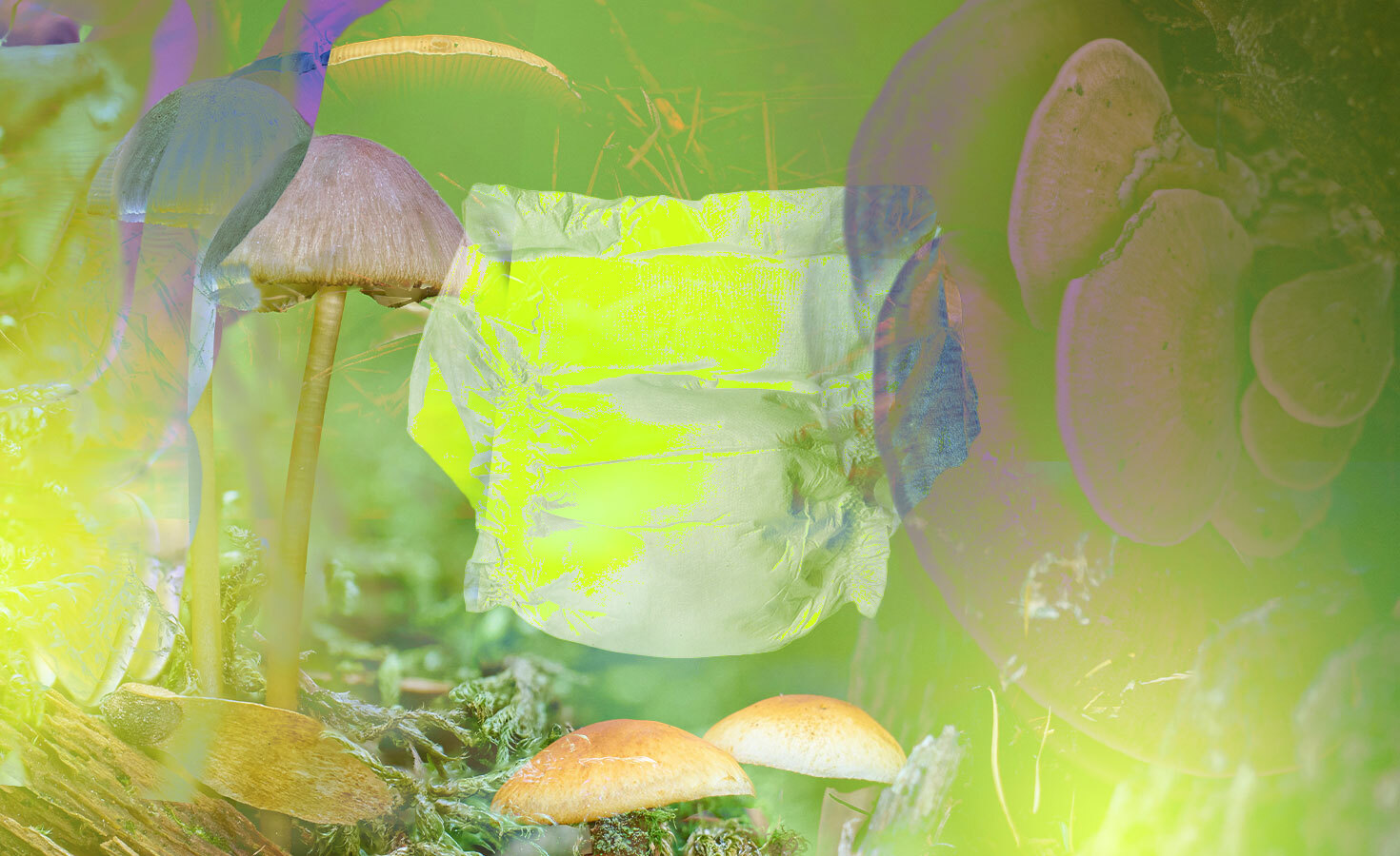 Efforts to create circular diapers are slowly making progress, with both big brands and startups joining the movement. However, the reality is that many of these promises have yet to be fulfilled, as landfills continue to be filled with unused diapers. The potential for circular diapers remains unrealized